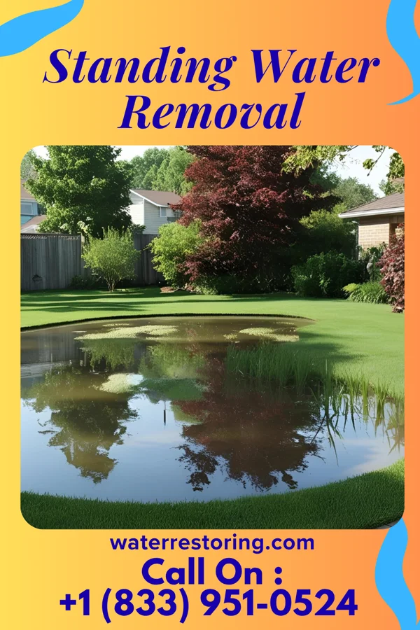 Standing Water Removal in Stoystown, PA